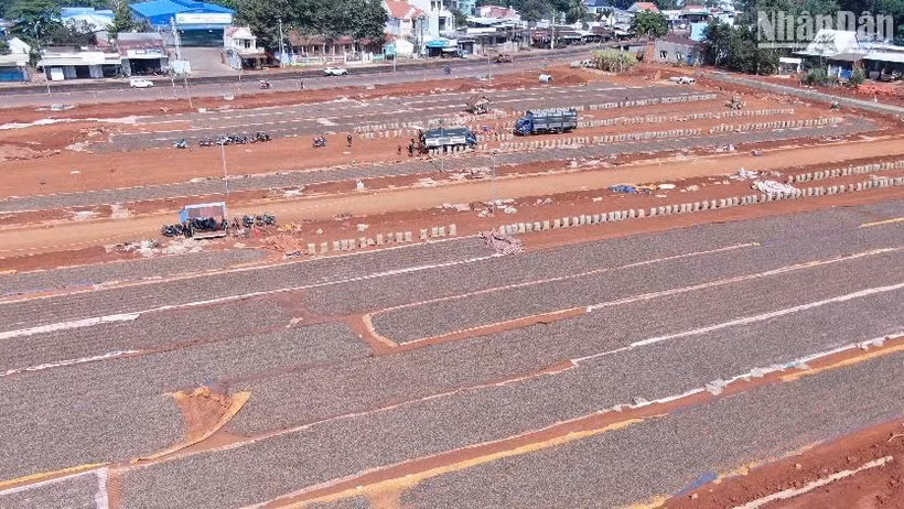 Doanh nghiệp tận dụng khoảng đất trống làm sân phơi điều.