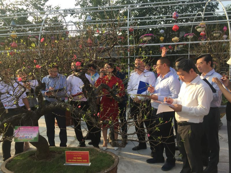 Ban Giám khảo đang nhận xét, chấm điểm cho các tác phẩm lọt vào vòng chung khảo.