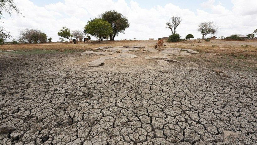 Một cánh đồng khô hạn tại Kenya. (Ảnh: Tân Hoa Xã)