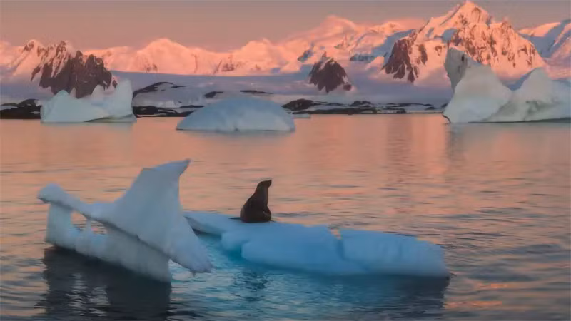 Ngày Nước Thế giới năm 2025 tập trung vào chủ đề "Bảo tồn các dòng sông băng". Ảnh: Un-glaciers.org