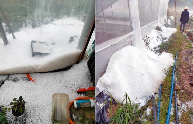 Mưa đá "dội" xuống khu vực nhà kính canh tác nông nghiệp ở xã Đạ Sar và Đạ Nhim.