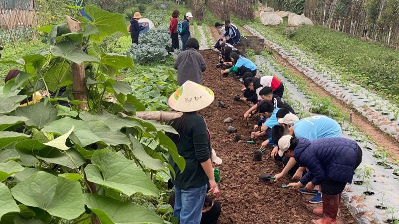 Các em học sinh hào hứng khi được trải nghiệm các công việc nhà nông.