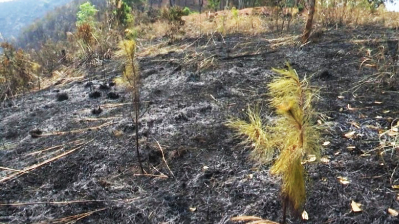 Hiện trường vụ cháy.