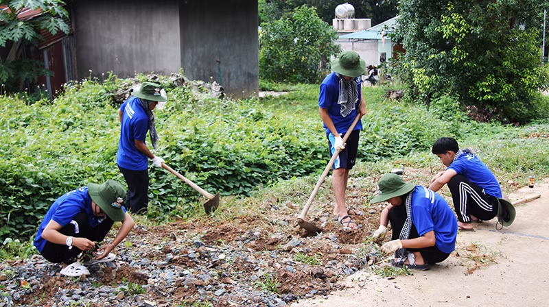 Chiến sĩ tình nguyện Trường Đại học Sư phạm Thể dục Thể thao Thành phố Hồ Chí Minh trồng hoa tuyến đường giao thông nông thôn.