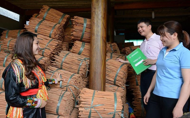 Cán bộ tín dụng kiểm tra nguồn vốn vay tại hộ chị Triệu Thị Tính, xã Tân Phượng, huyện Lục Yên (Yên Bái).