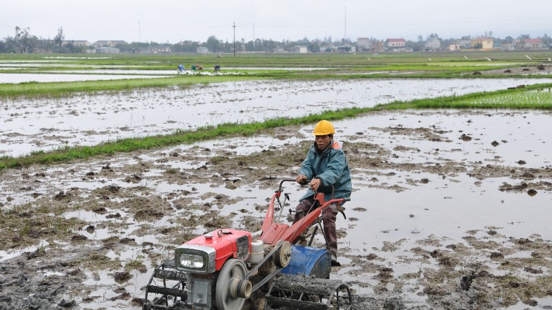Nông dân ở xã Lộc Hà, tỉnh Hà Tĩnh làm đất gieo cấy lúa vụ hè thu-mùa. (Ảnh: Đăng Khoa)