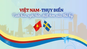 [Infographic] Việt Nam-Thụy Điển: Tình hữu nghị bền chặt hơn nửa thế kỷ