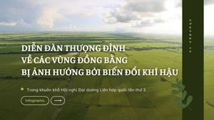 [Infographic] Việt Nam đồng chủ trì Diễn đàn thượng đỉnh về các vùng đồng bằng châu thổ bị ảnh hưởng bởi biến đổi khí hậu