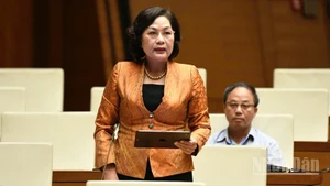 Thống đốc Ngân hàng Nhà nước Việt Nam Nguyễn Thị Hồng phát biểu. (Ảnh: DUY LINH)