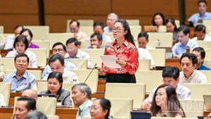Đại biểu Dương Minh Ánh (Hà Nội) phát biểu. (Ảnh: DUY LINH)
