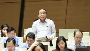 Đại biểu Lã Thanh Tân (Hải Phòng) phát biểu. (Ảnh: DUY LINH)