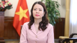 Thứ trưởng Ngoại giao Nguyễn Minh Hằng. (Ảnh: Bộ Ngoại giao)