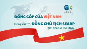 [Infographic] Đóng góp của Việt Nam trong vai trò Đồng Chủ tịch Chương trình Đông Nam Á giai đoạn 2022-2025