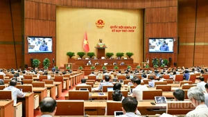 Quang cảnh phiên họp của Quốc hội. (Ảnh: DUY LINH)
