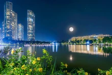 Một khu đô thị được phát triển theo xu hướng xanh, thân thiện môi trường.