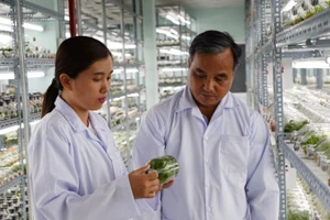 Phòng nhân giống hoa lan bằng phương thức nuôi cấy mô tại Khu Nông nghiệp công nghệ cao Thành phố Hồ Chí Minh. (Ảnh: CAO TÂN)