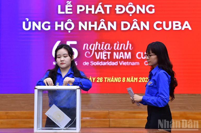 ndo_br_miu-5845.jpg