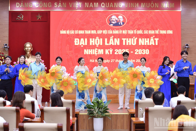 ndo_br_miu-2525.jpg