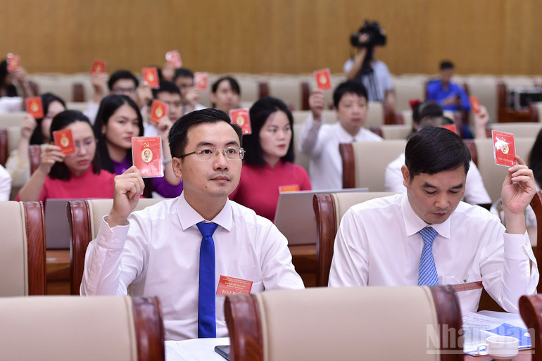 Các đại biểu tiến hành biểu quyết. ndo_br_miu-2498.jpg