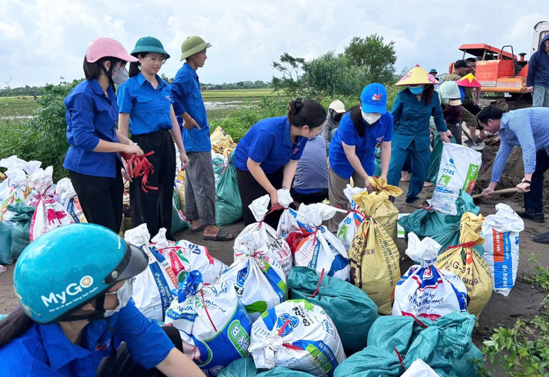 Đông đảo thanh niên tình nguyện tham gia khắc phục hậu quả cơn bão số 10. 8419201061e1ebbfb2f0.jpg