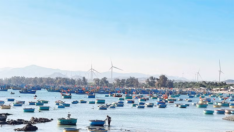 Vùng biển Cổ Thạch (xã Liên Hương) với nhiều thuyền thúng tạo nên cảnh đẹp hoang sơ.