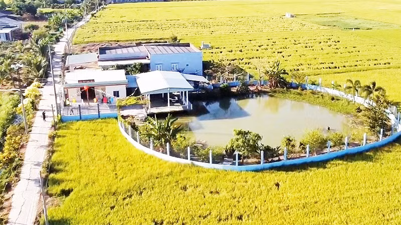 Tuyến đường “sáng-xanh-sạch-đẹp” do Chi bộ ấp 1, xã Tân Phước Tây và nhân dân xây dựng.