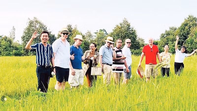 Chuyên gia nước ngoài tham quan dự án Cộng đồng nông nghiệp thuận thiên.