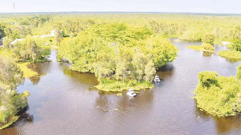 Vườn quốc gia U Minh Thượng nhìn từ trên cao.