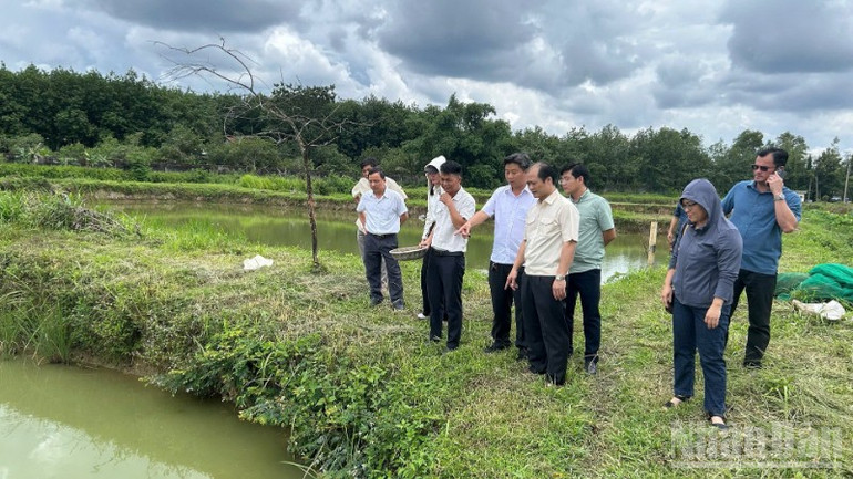 Giám đốc Sở Nông nghiệp và Môi trường Đồng Nai Nguyễn Tuấn Anh khảo sát mô hình sản xuất nông nghiệp sạch tại địa phương. ndo_br_z7160954143622-a3f721884a61b1d29e8ec3021c57cab0-resize-3298.jpg