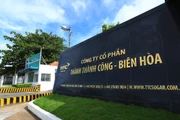 [Infographic] Công ty Cổ phần Thành Thành Công – Biên Hòa 