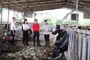 Agribank ưu đãi lãi vay đối với khách hàng bị thiệt hại do bão số 3 và lũ lụt sau bão