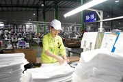 Sản xuất các sản phẩm thân thiện môi trường như túi, bao bì tự hủy... tại Công ty cổ phần Nhựa An Phát xanh, tỉnh Hải Dương. (Ảnh ĐĂNG ANH) 
