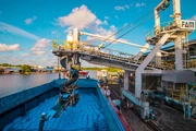 6 tháng đầu năm 2023, giá phân bón vẫn trong xu hướng giảm (bình quân giảm 30%-40% so với 2022) và hiện vẫn đang duy trì ở mức thấp.
