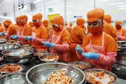 Chế biến tôm xuất khẩu tại Công ty TNHH Thông Thuận - Chi nhánh Ninh Thuận. (Ảnh Công Thử)