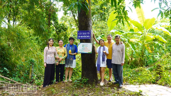 Lãnh đạo xã Mỹ Thọ, tỉnh Đồng Tháp cùng du khách chụp hình lưu niệm tại cây xoài tổ của tỉnh Đồng Tháp.