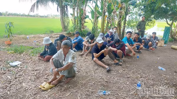 Các đối tượng tham gia đá gà.