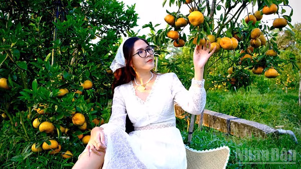 Điểm tham quan vườn quýt hồng Bá Chuốt ngày đầu mở cửa phục vụ khách.