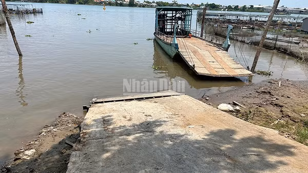 Bến đò số 28, ấp Tân Dinh, xã Tân Long, tỉnh Đồng Tháp, nơi xảy ra vụ tai nạn.