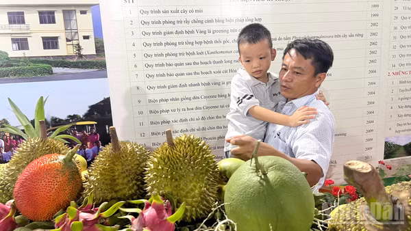Phụ huynh tham quan và giới thiệu cho trẻ biết về các loại trái cây tại Lễ hội Trái cây Đồng Tháp lần thứ I năm 2026.