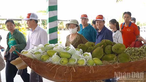 Du khách tham quan gian trưng bày tại Lễ hội Trái cây Đồng Tháp lần thứ 1.