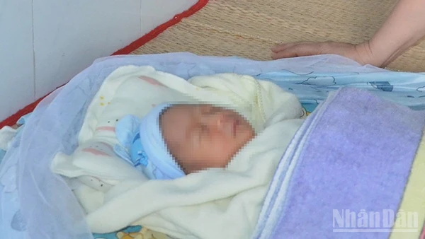 Cháu bé sơ sinh ị bỏ rơi. (Ảnh: Công an cung cấp)