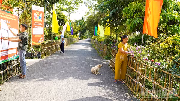 Vợ chồng ông Nguyễn Văn Xếp thường xuyên chăm sóc hoa kiểng và cho mượn nhà chuẩn bị cho Ngày hội toàn dân.
