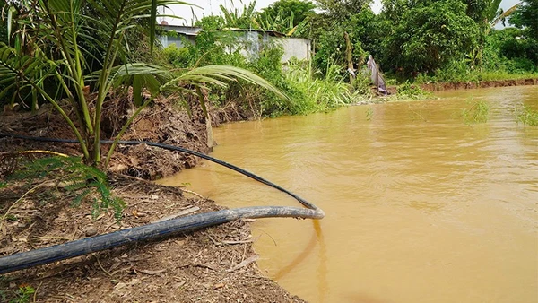 Khu vực sạt lở bờ sông tại ấp Tân Quới, xã Tân Long, tỉnh Đồng Tháp.