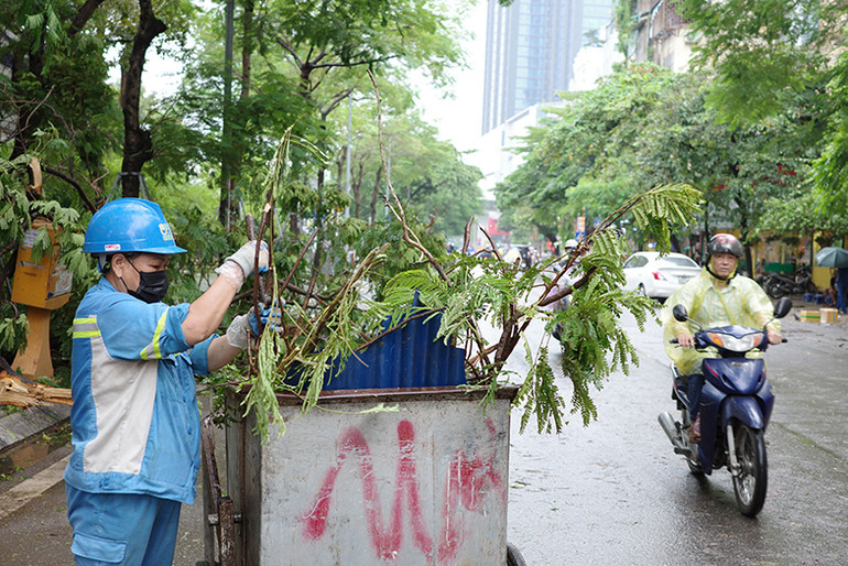 Công nhân vệ sinh môi trường thu gom nhành cây làm sạch đường phố.