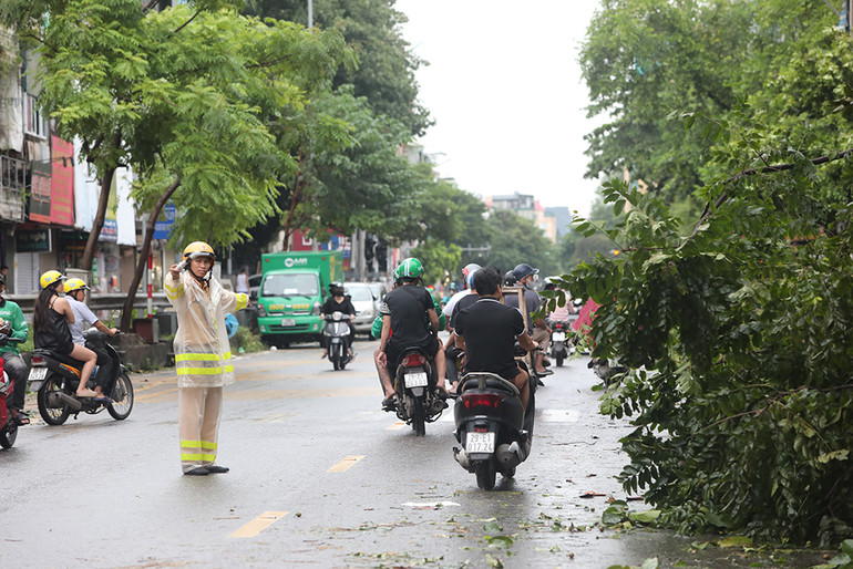 Phân luồng giao thông tại điểm có cây đổ trên phố Lê Duẩn.