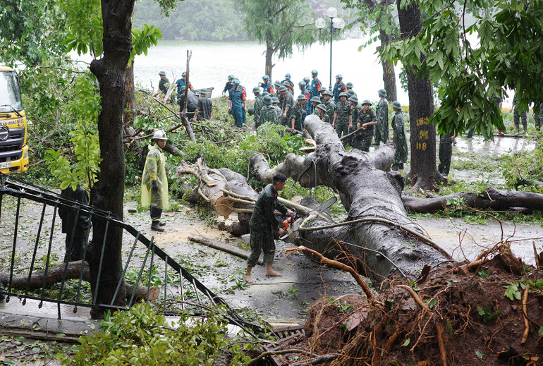 Các chiến sĩ Bộ Tư lệnh Thủ đô cùng dân quân tự vệ quận Hoàn Kiếm giải phóng điểm ùn tắc do cây đổ trên phố Lê Thái Tổ.