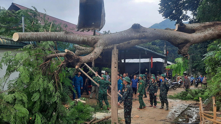 Lốc xoáy làm cây xanh đổ vào nhà dân tại huyện Mường Lát, Thanh Hóa. Ảnh: UBND huyện Mường Lát cung cấp Lốc xoáy làm cây xanh đổ vào nhà dân tại huyện Mường Lát, Thanh Hóa. Ảnh: UBND huyện Mường Lát cung cấp