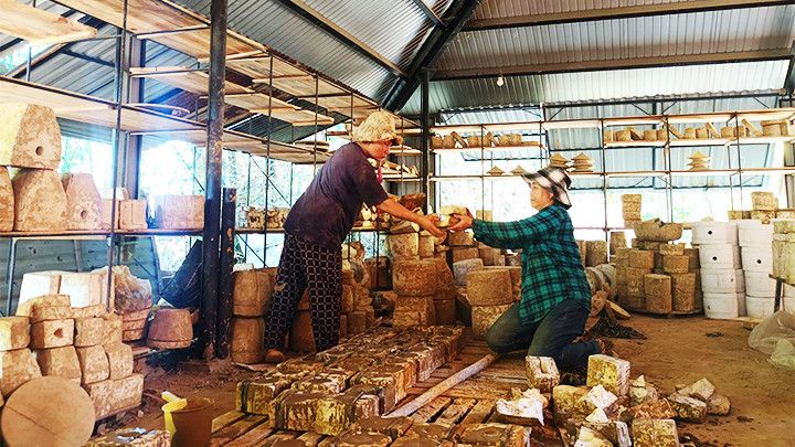 Sắp xếp khuôn đúc.