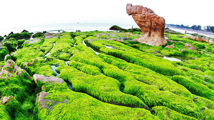 Trên bãi Cổ Thạch (Bình Thuận). Trên bãi Cổ Thạch (Bình Thuận).