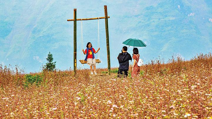 Du khách thích thú chụp ảnh với vườn hoa tam giác mạch.